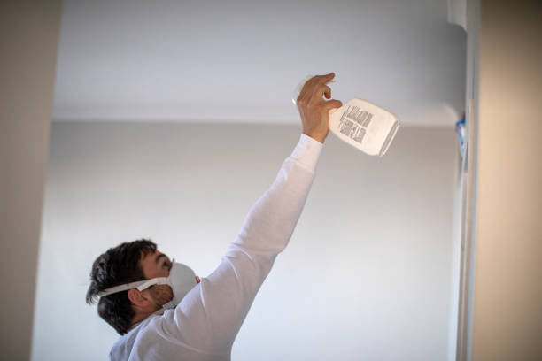 Best Preventive Mold Services in Bull Shoals, AR