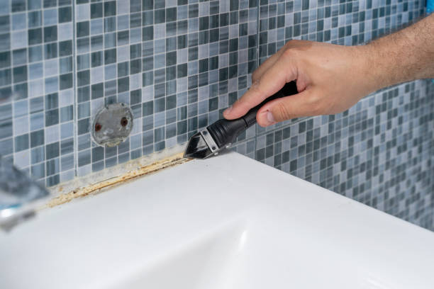 Best Mold Remediation for Schools in Bull Shoals, AR